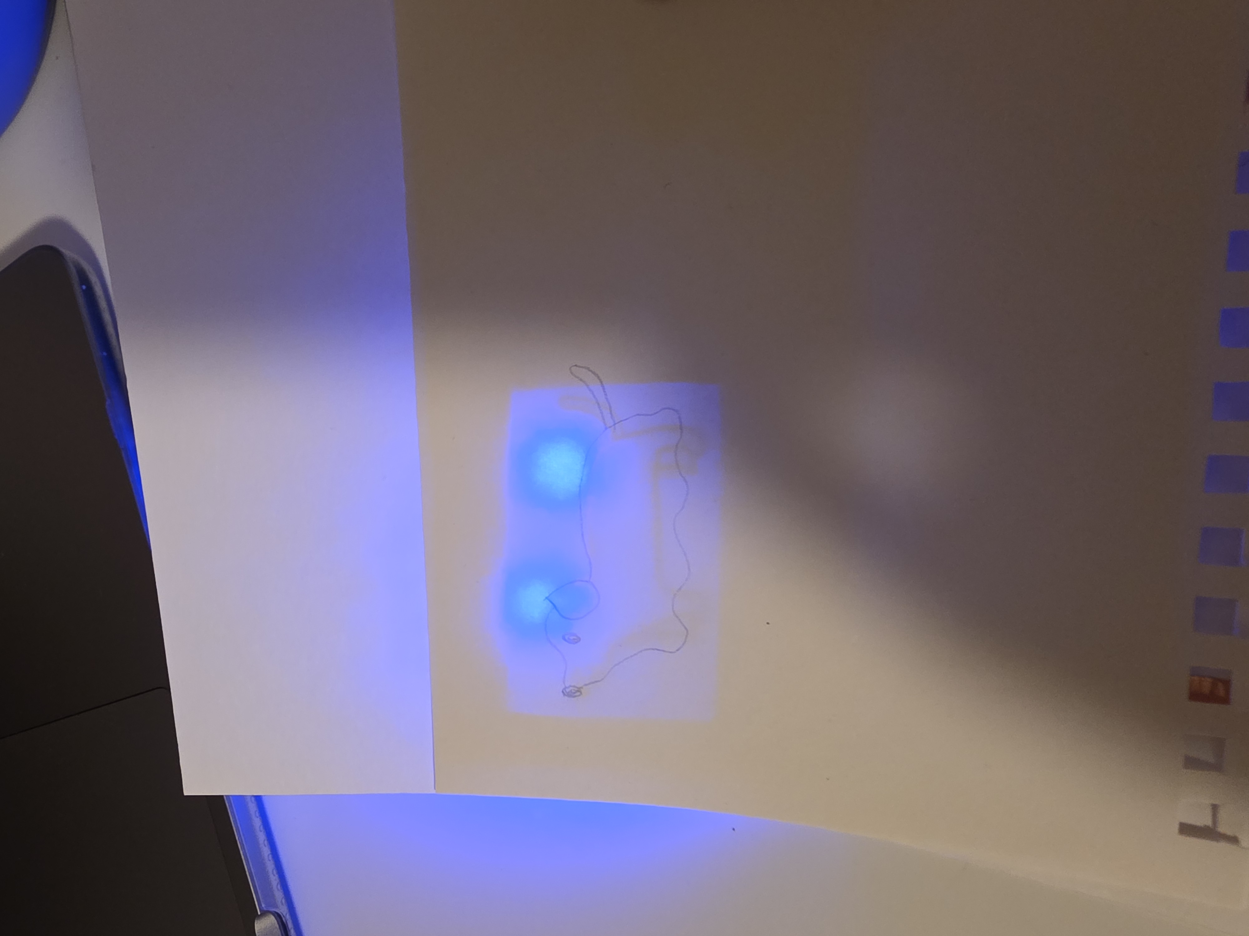 put a description here or you will lose grades